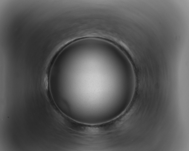 X0000089711509200706281503