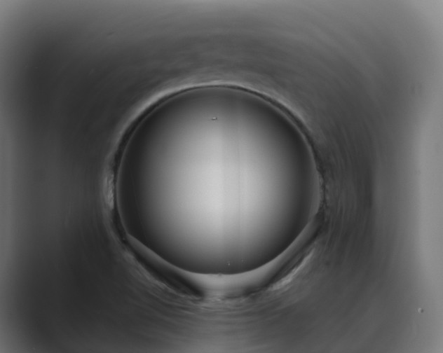 X0000089711510200706281503