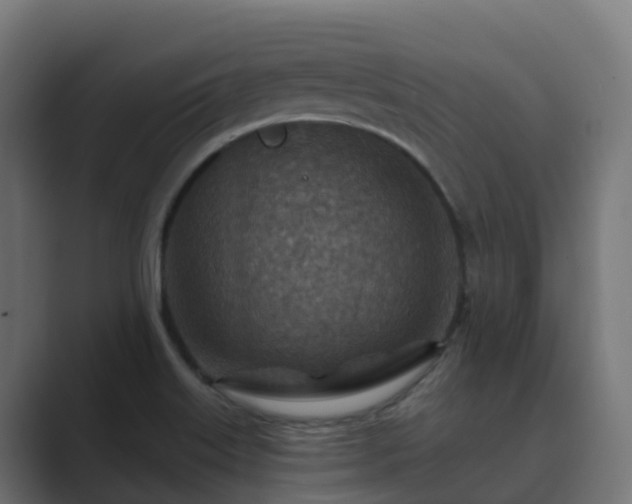 X0000089711515200706281503