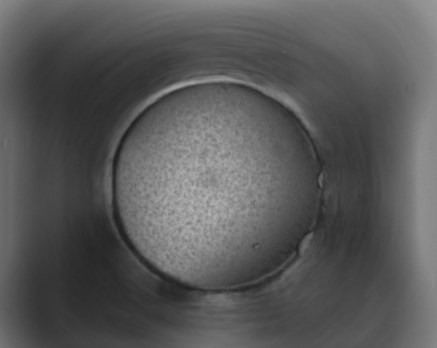 X0000089711516200706281503