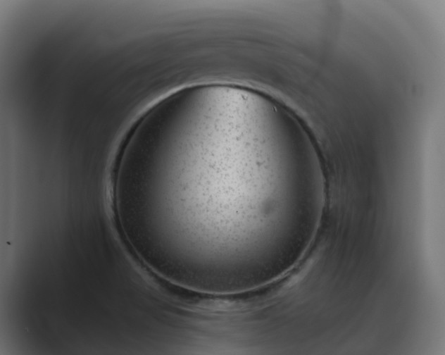 X0000089711517200706281503