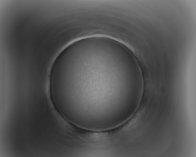 X0000089711518200706281503