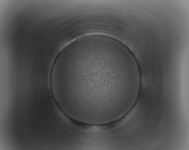 X0000089711521200706281503