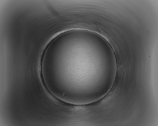 X0000089711523200706281503