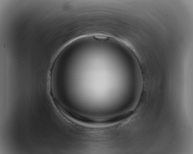 X0000089711524200706281503