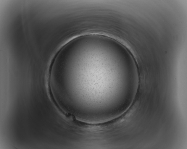 X0000089711525200706281503