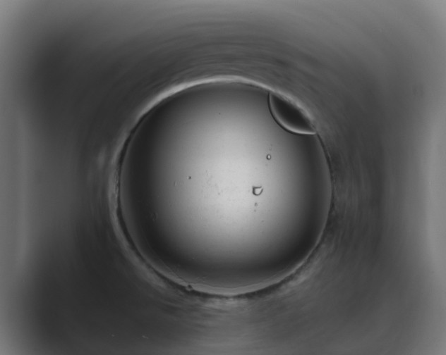 X0000089711526200706281503