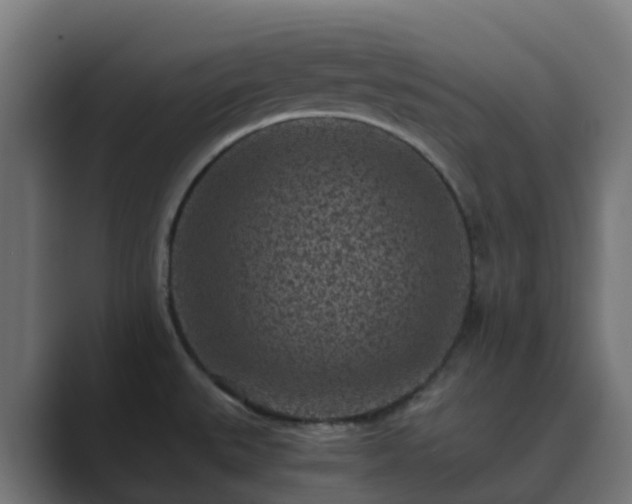 X0000089711527200706281503