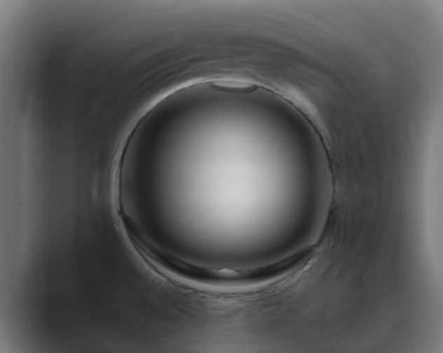 X0000089711528200706281503