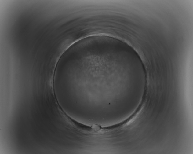 X0000089711529200706281503