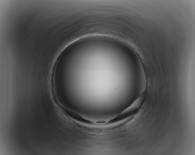 X0000089711530200706281503