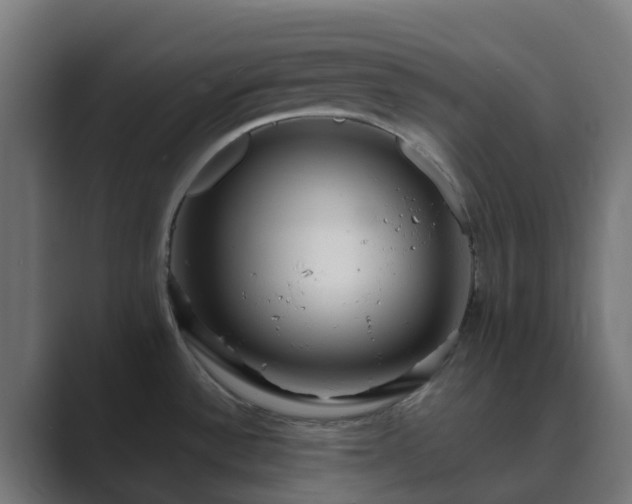 X0000089711532200706281503