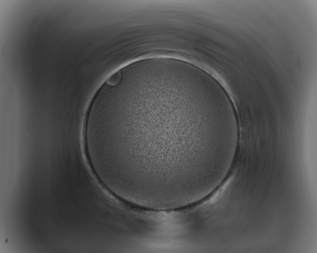 X0000089711533200706281503