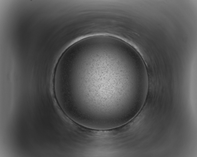 X0000089711534200706281503