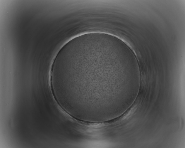 X0000089711535200706281503