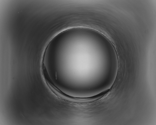 X0000089711536200706281503