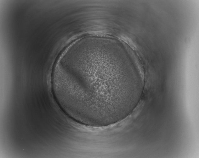 X0000089710002200707051710