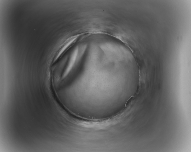 X0000089710005200707051710