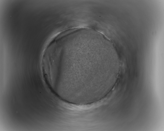 X0000089710006200707051710