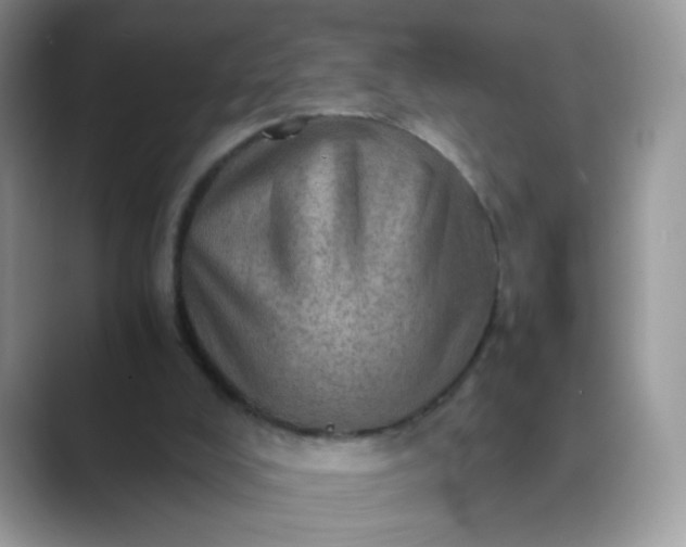 X0000089710008200707051710