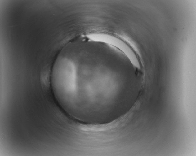 X0000089710009200707051710