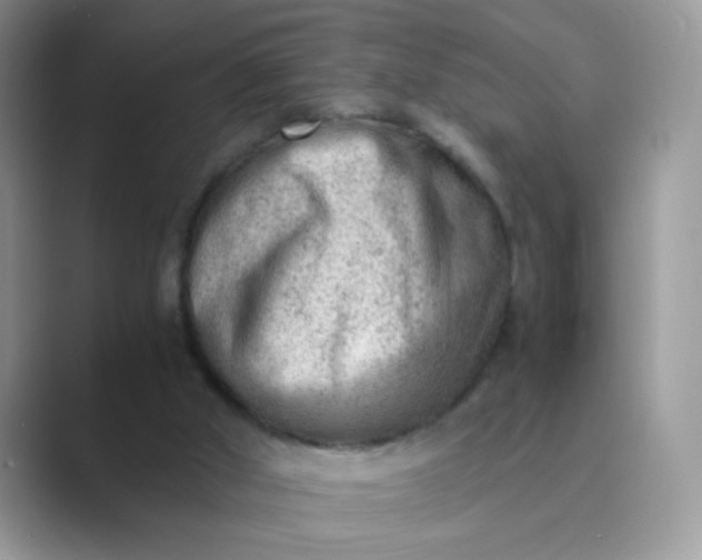 X0000089710010200707051710