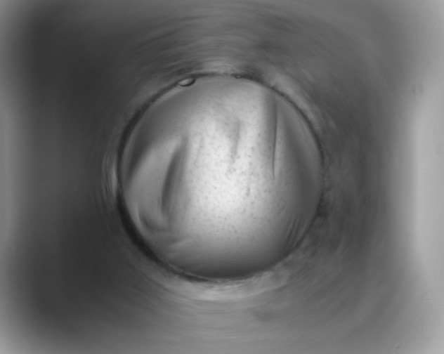 X0000089710011200707051710