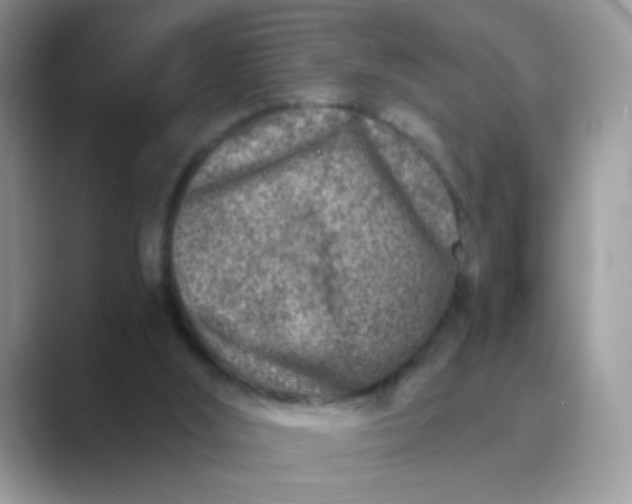 X0000089710012200707051710