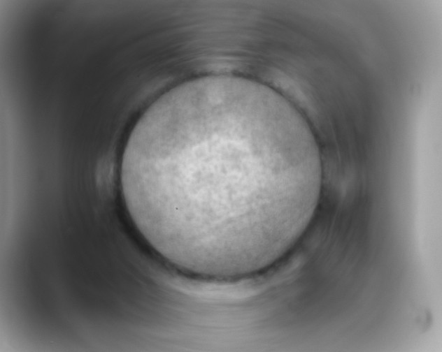 X0000089710016200707051710