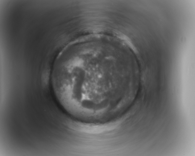 X0000089710018200707051710