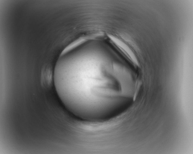 X0000089710021200707051710