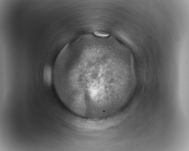 X0000089710022200707051710