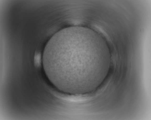 X0000089710024200707051710