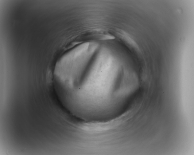 X0000089710025200707051710