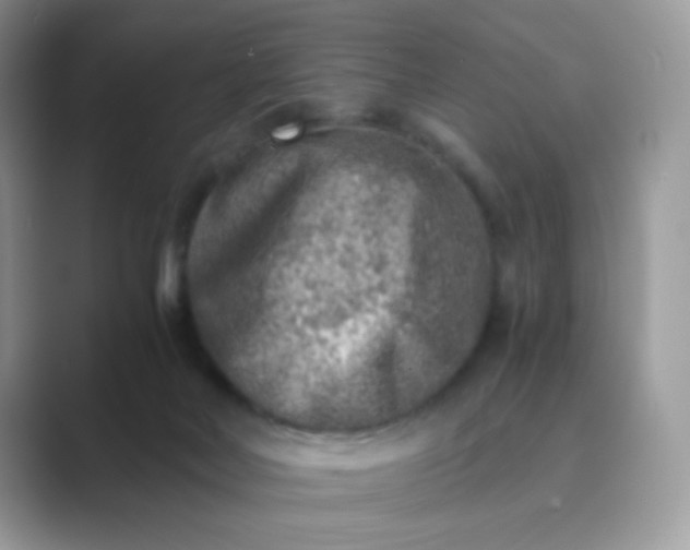 X0000089710026200707051710