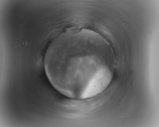 X0000089710029200707051710