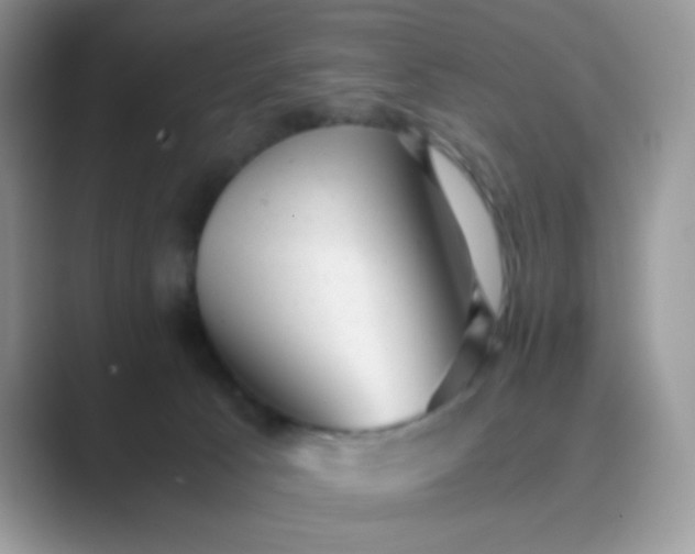 X0000089710033200707051709