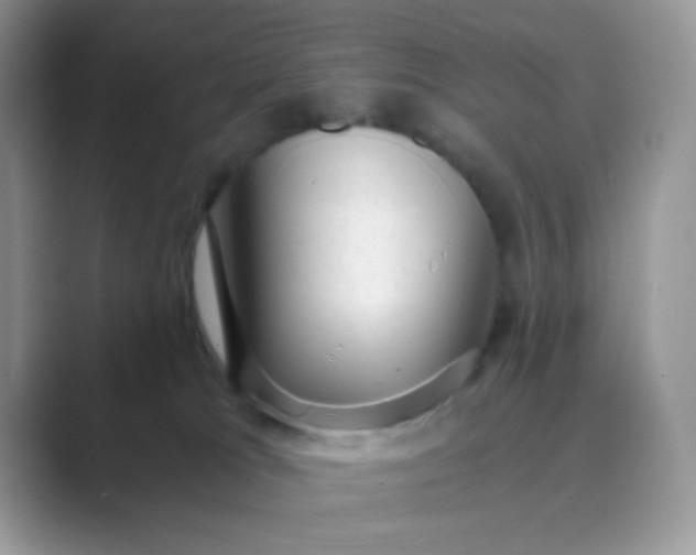 X0000089710037200707051709