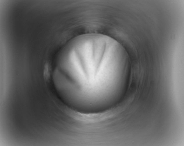 X0000089710038200707051709