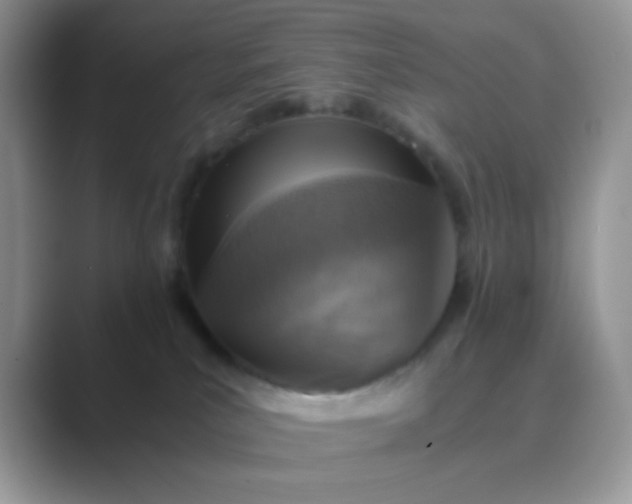 X0000089710039200707051709