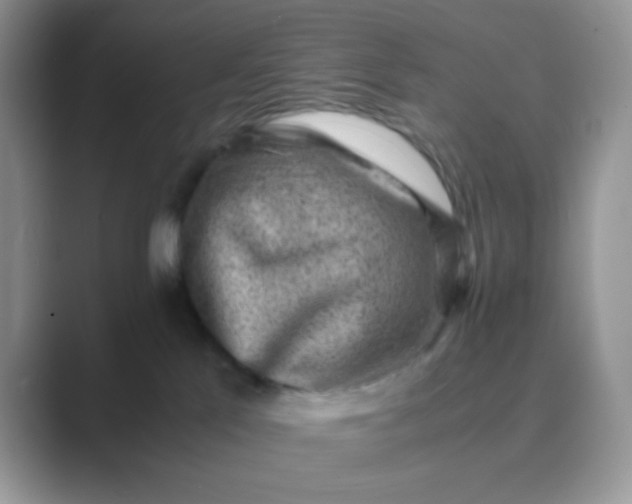 X0000089710041200707051709