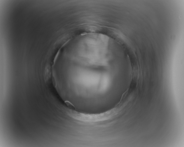 X0000089710043200707051709