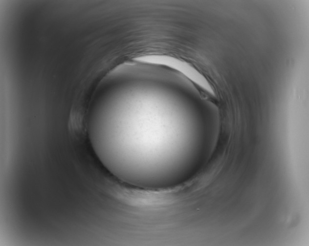 X0000089710044200707051709