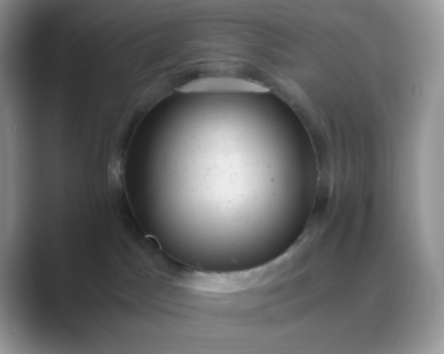 X0000089710045200707051709