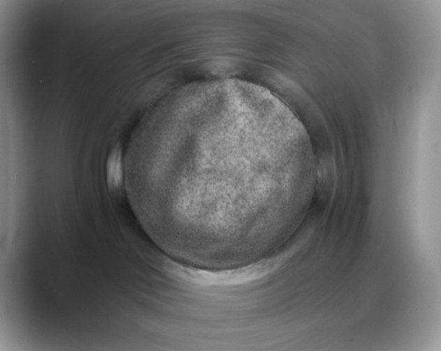 X0000089710046200707051709