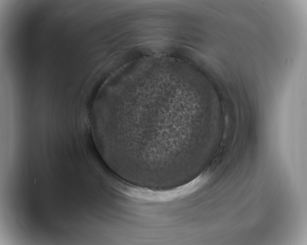 X0000089710048200707051709