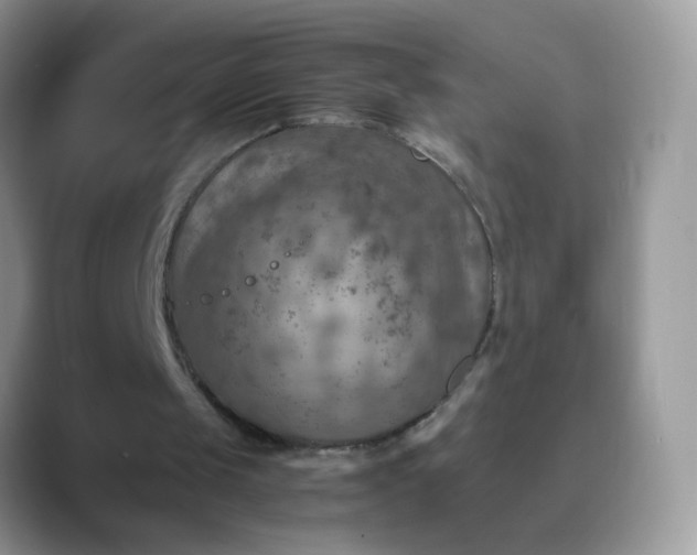 X0000089710049200707051709