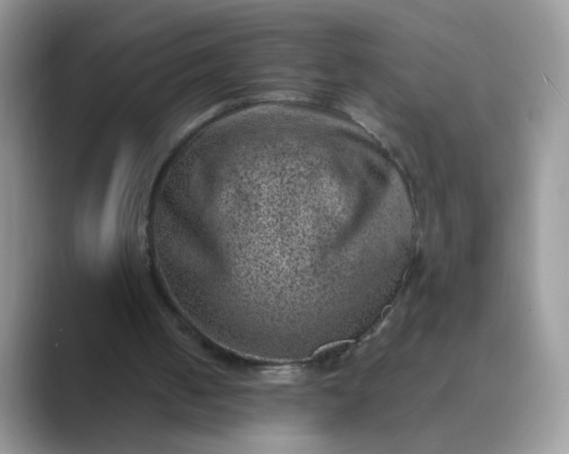 X0000089710050200707051709