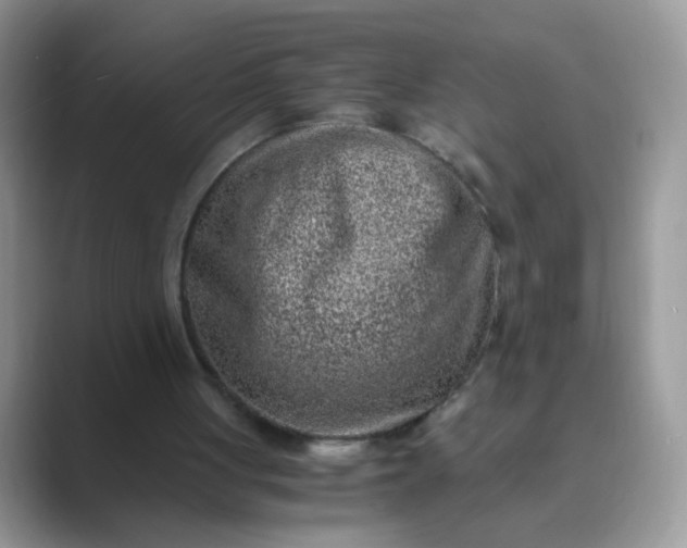 X0000089710051200707051709