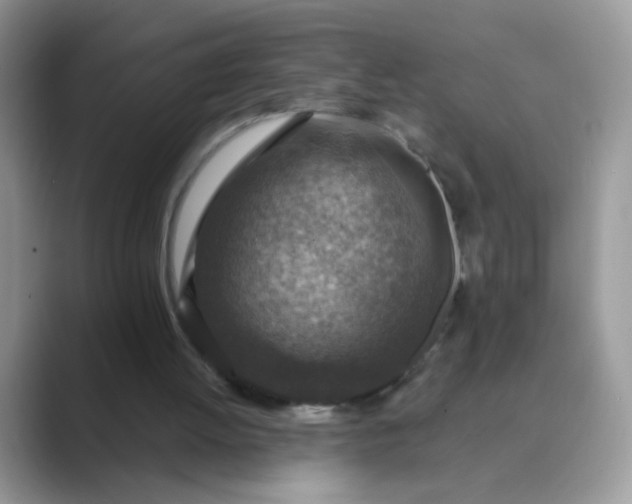 X0000089710052200707051709